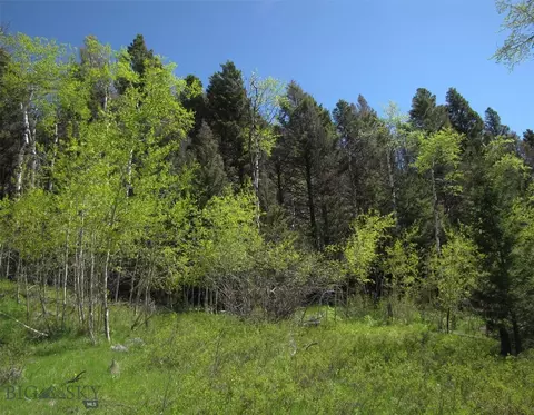 tbd Grizzly Meadows Rd, Emigrant, MT 59027 photo 12