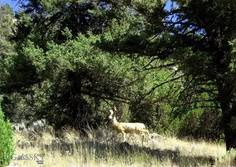 tbd Grizzly Meadows Rd, Emigrant, MT 59027 photo 25