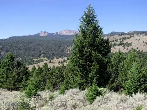 tbd Grizzly Meadows Rd, Emigrant, MT 59027 photo 21