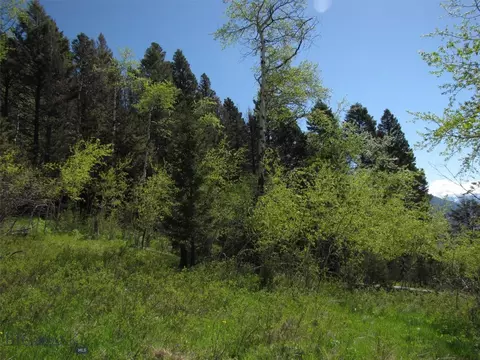 tbd Grizzly Meadows Rd, Emigrant, MT 59027 photo 3