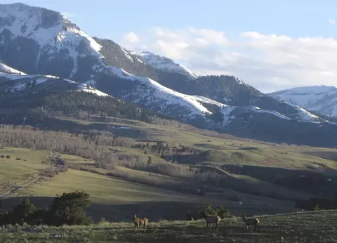 tbd Grizzly Meadows Rd, Emigrant, MT 59027 photo 23