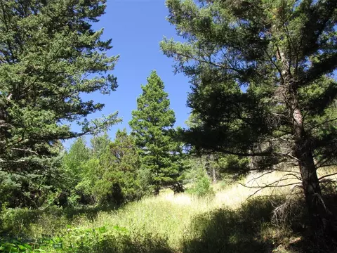 tbd Grizzly Meadows Rd, Emigrant, MT 59027 photo 19