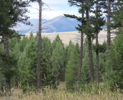 Other - 116 Elk Ridge Rd, Cameron, MT 59720 photo 26 of 27