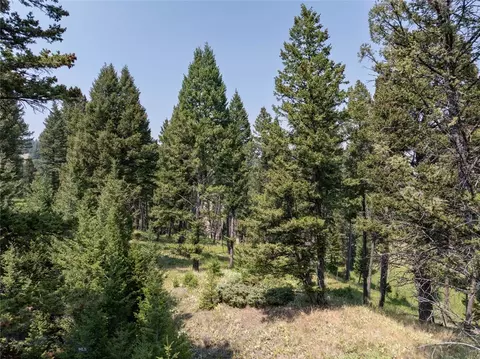 Exterior - 116 Elk Ridge Rd, Cameron, MT 59720 photo 19 of 21