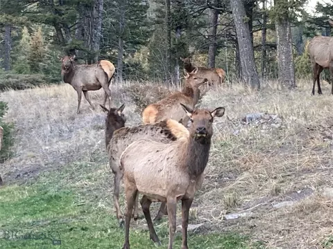 Other - 116 Elk Ridge Rd, Cameron, MT 59720 photo 25 of 27