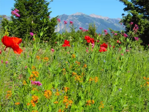 Other - 116 Elk Ridge Rd, Cameron, MT 59720 photo 15 of 27
