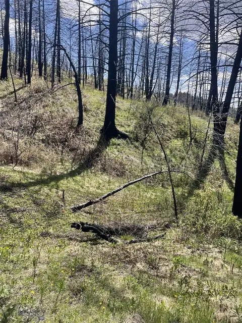 414 Skyline Rd, Three Forks, MT 59752 photo 35