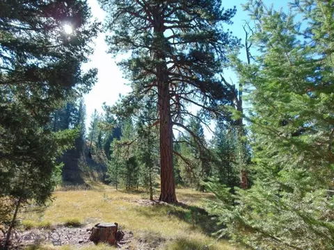 Other - 8880 Elk Trail Loop, Lincoln, MT 59639 photo 8 of 34