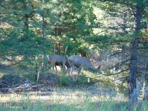 Other - 8880 Elk Trail Loop, Lincoln, MT 59639 photo 5 of 34
