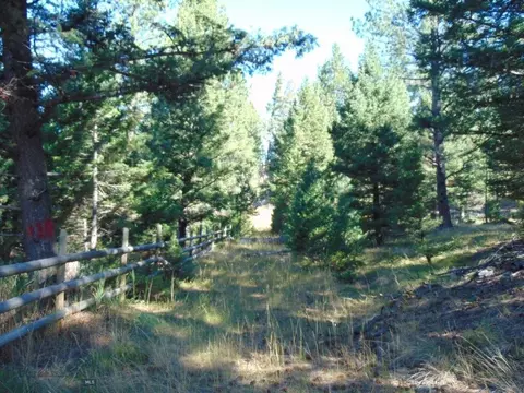 Exterior - 8880 Elk Trail Loop, Lincoln, MT 59639 photo 41 of 49