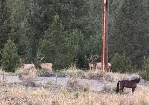 Nhn Tbd, Anaconda, MT 59711