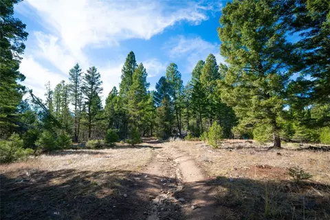 tbd Delmoe Lake Rd, Whitehall, MT 59759