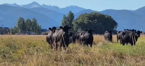tbd Durston Rd, Bozeman, MT 59718 photo 3