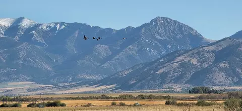 tbd Durston Rd, Bozeman, MT 59718 photo 17