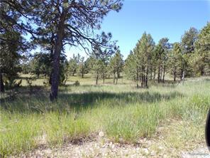 1 Springfield Trl, Roundup, MT 59072 photo 1