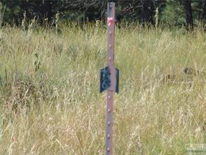 270 Winchester, Roundup, MT 59072 photo 1