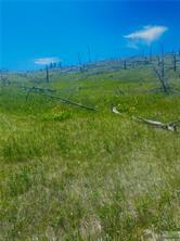 338 Buckskin Rd, Roundup, MT 59072 photo 1