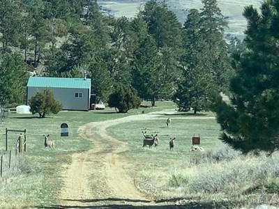 150 Eagle Point Ln, Bridger, MT 59014 photo 1