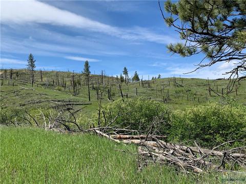 198 Buckskin Rd, Roundup, MT 59072 photo 1