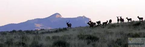 Nhn Ruby Creek Road, Belfry, MT 59008 photo 33