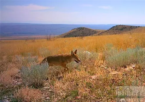 Nhn Ruby Creek Road, Belfry, MT 59008 photo 30
