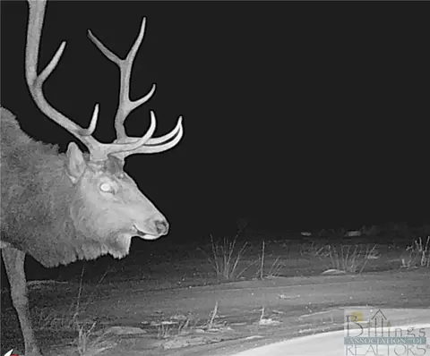 Nhn Ruby Creek Road, Belfry, MT 59008 photo 27