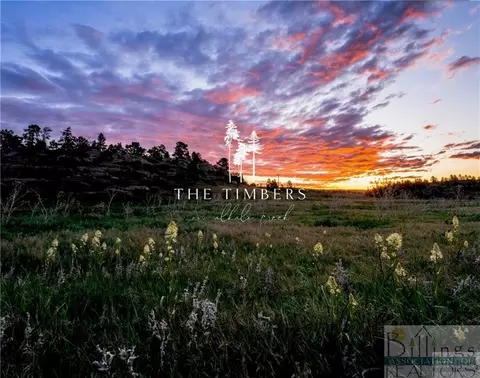 lot39 Olive Ln, Billings, MT 59105