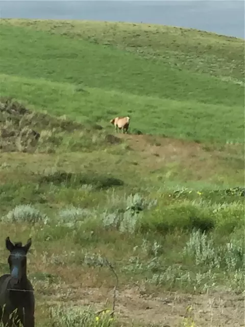 6658 SE Moser Dome Rd SE, Laurel, MT 59044