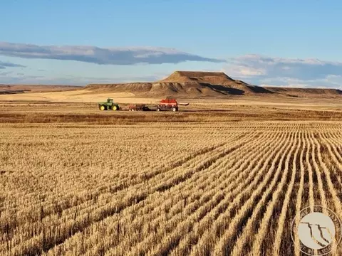 tbd Gee Rd, Rapelje, MT 59067
