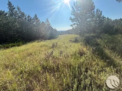 51 Haystack Coulee Rd, Reed Point, MT 59069 photo 5