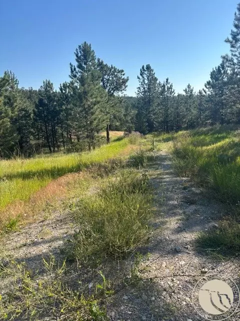 51 Haystack Coulee Rd, Reed Point, MT 59069 photo 3