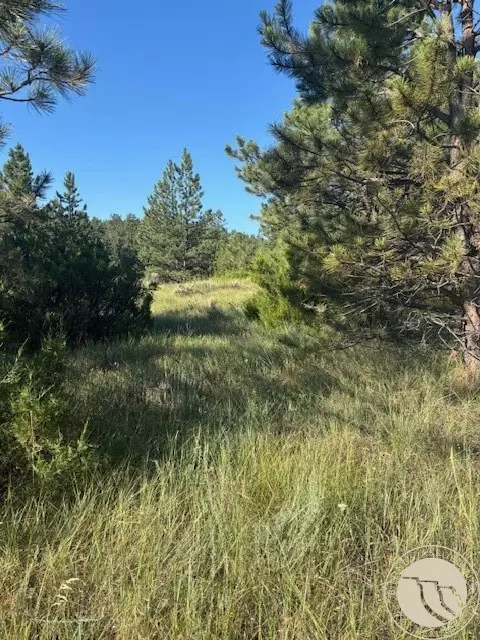 51 Haystack Coulee Rd, Reed Point, MT 59069 photo 12