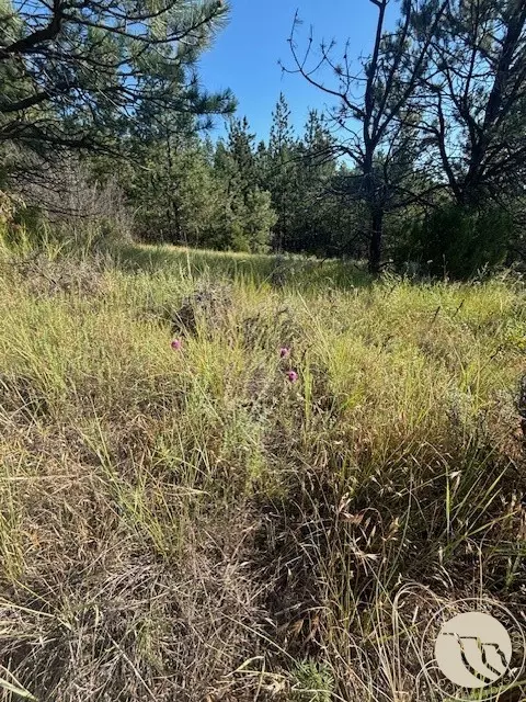 51 Haystack Coulee Rd, Reed Point, MT 59069 photo 6