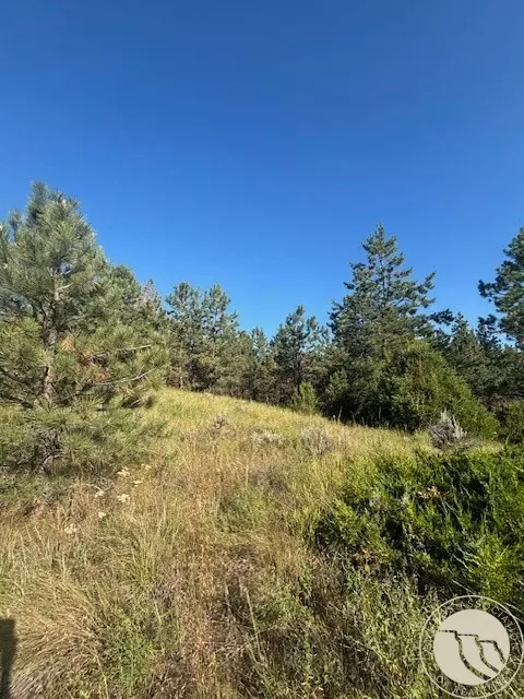 51 Haystack Coulee Rd, Reed Point, MT 59069 photo 8