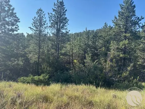 51 Haystack Coulee Rd, Reed Point, MT 59069 photo 10