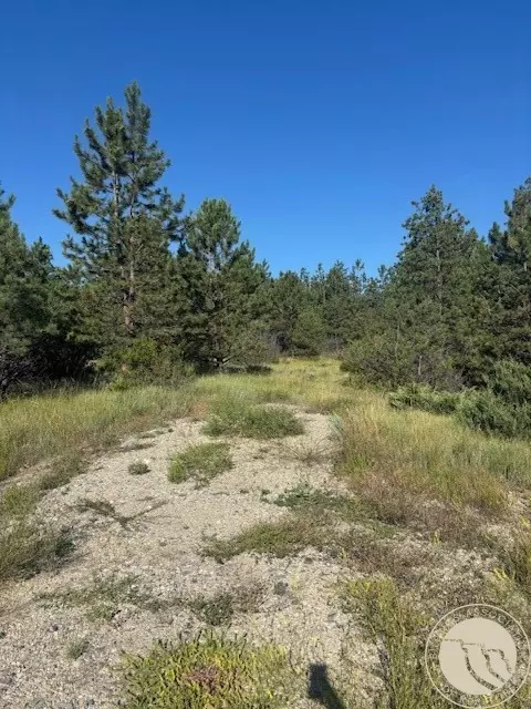 51 Haystack Coulee Rd, Reed Point, MT 59069 photo 4