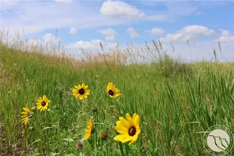 tbd Hwy 201, Circle, MT 59274 photo 15