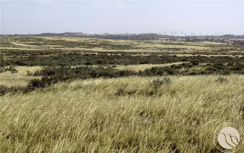 Nhn Lindstrom Road, Shepherd, MT 59079