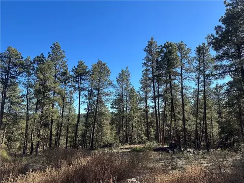 tbd Smith Ct, Roundup, MT 59072 photo 4
