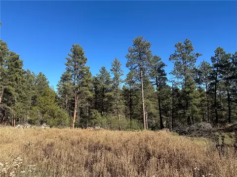 tbd Smith Ct, Roundup, MT 59072 photo 3