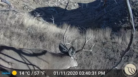 Nhn Lookout Point, Shawmut, MT 59078