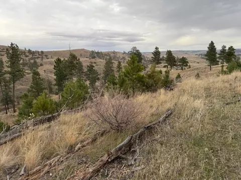 tbd Brumfield Rd Brumfield, Reed Point, MT 59069 photo 22