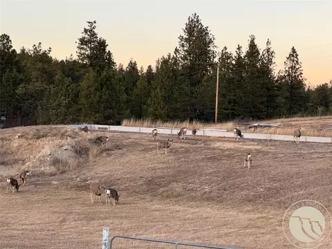 Other - 101 Smith Rd, Roundup, MT 59072 photo 13 of 16