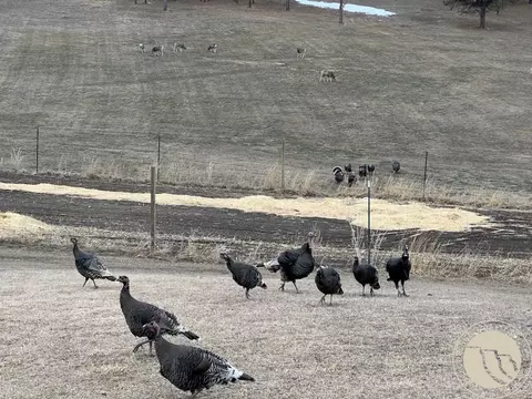 Other - 101 Smith Rd, Roundup, MT 59072 photo 15 of 16