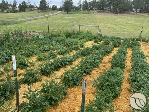 Other - 101 Smith Rd, Roundup, MT 59072 photo 12 of 16