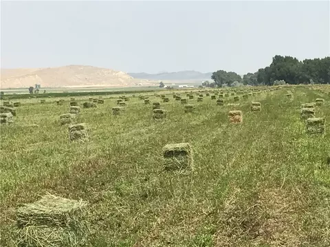 tbd Hergenrider Rd, Bridger, MT 59014