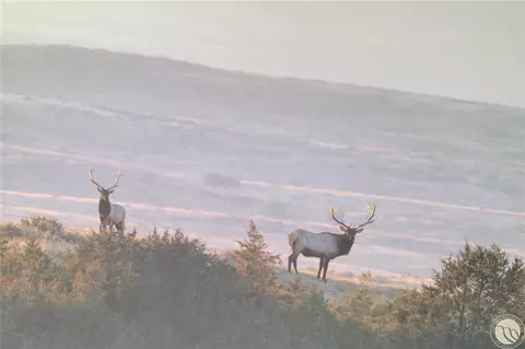 314 Oilfield Rd, Fallon, MT 59326