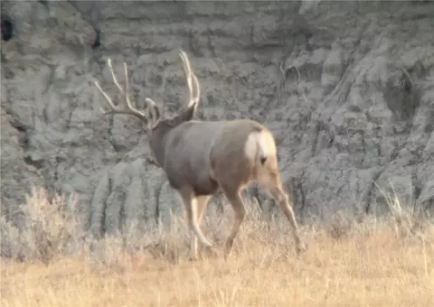 Other - 314 Oilfield Rd, Fallon, MT 59326 photo 11 of 16