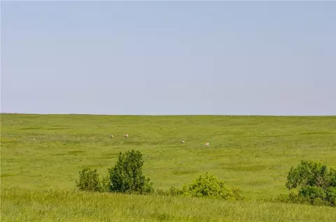 Other - 314 Oilfield Rd, Fallon, MT 59326 photo 16 of 16