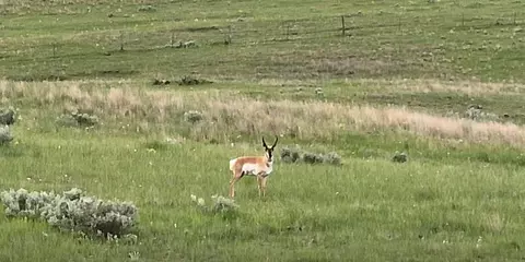 Other - 314 Oilfield Rd, Fallon, MT 59326 photo 10 of 16